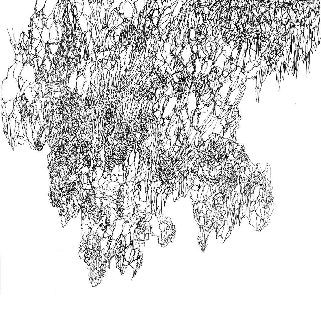 Magne Sébastien_Dessin. Monochrome#1 (09)
