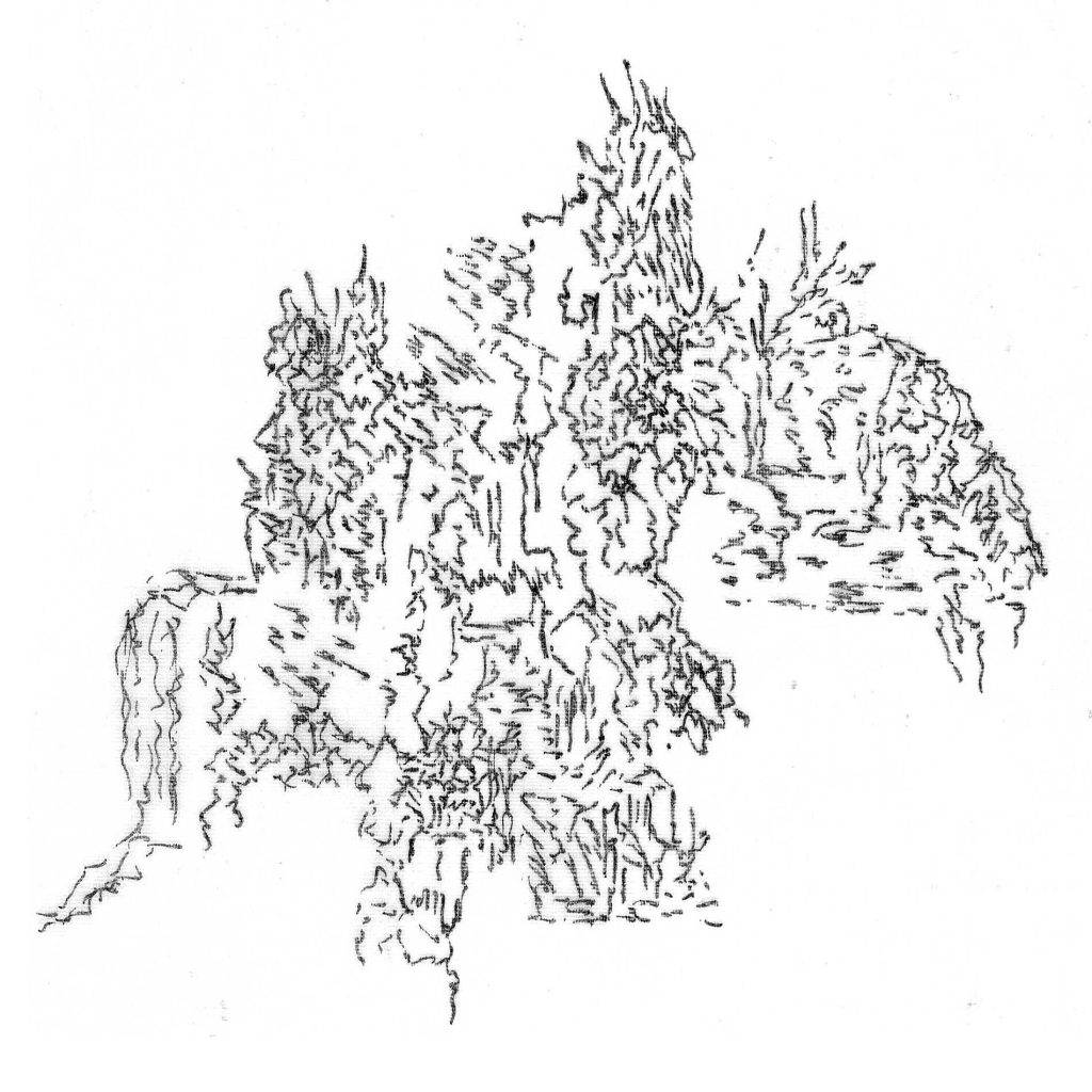Magne Sébastien_Dessin. Monochrome#1 (11)