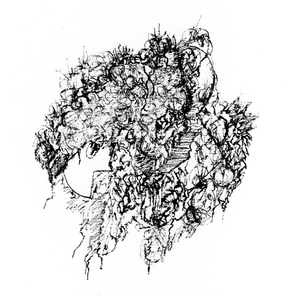 Magne Sébastien_Dessin. Monochrome#1 (12)