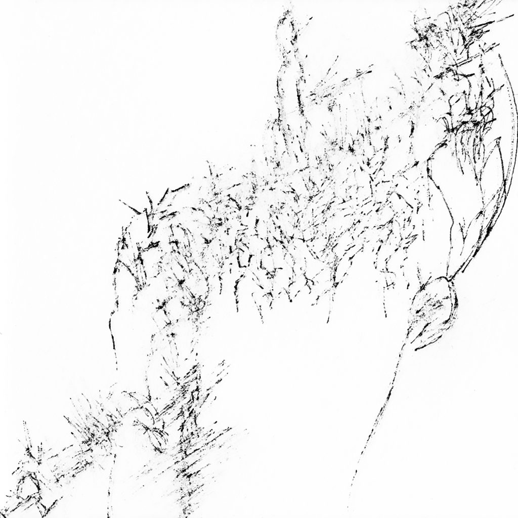 Magne Sébastien_Dessin. Monochrome#1 (13)