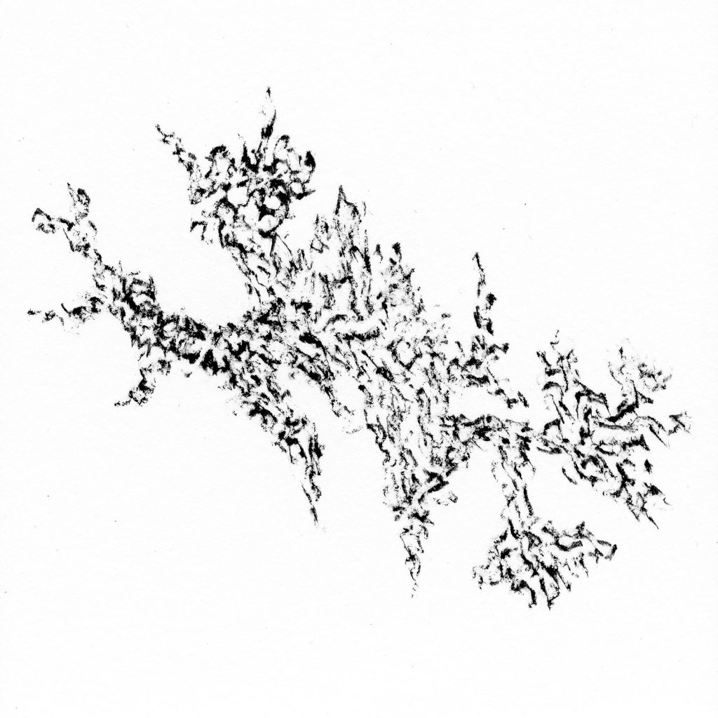 Magne Sébastien_Dessin. Monochrome#1 (15)