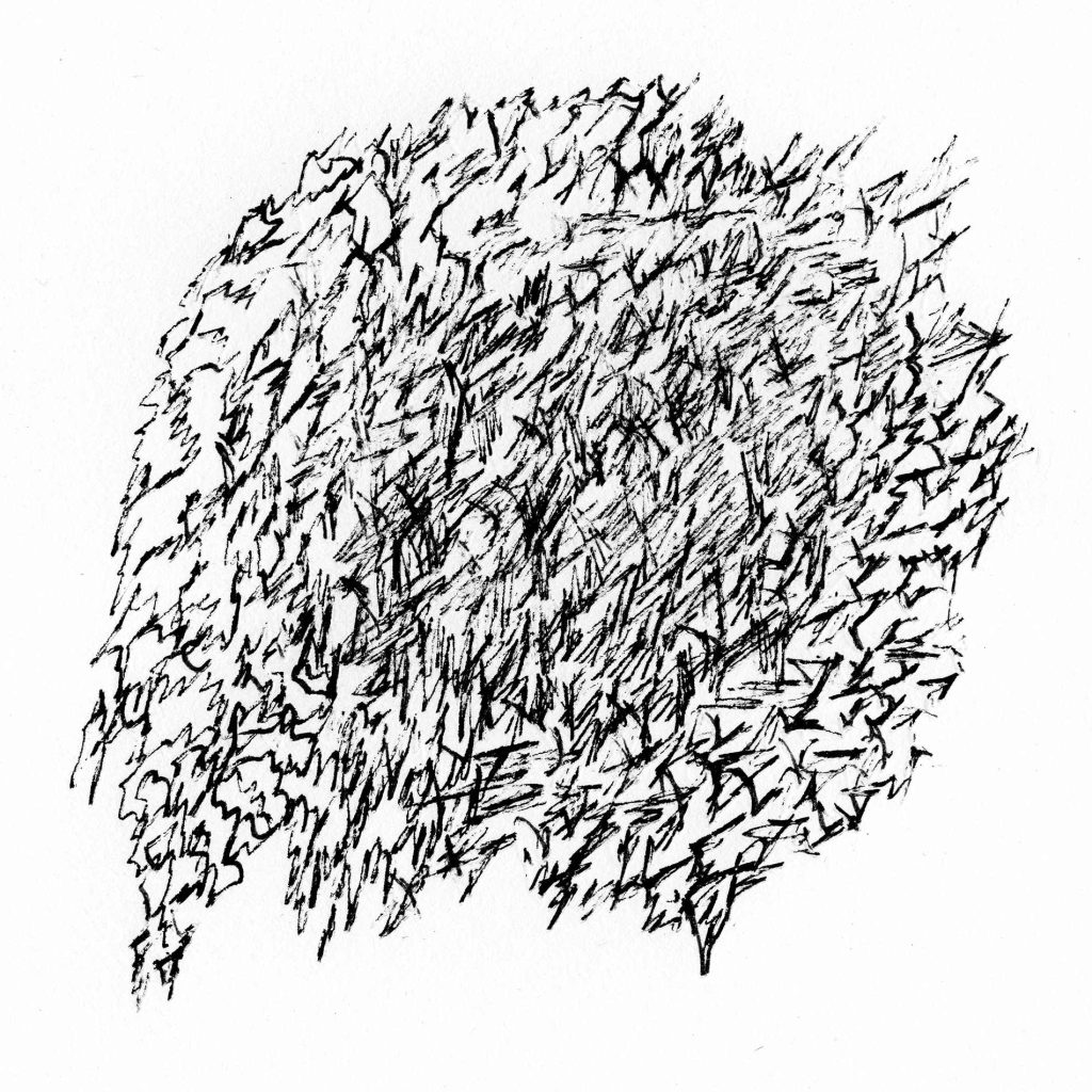 Magne Sébastien_Dessin. Monochrome#1 (22)