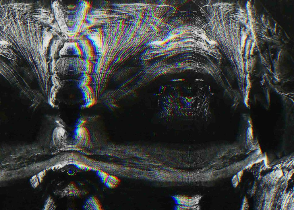 Sebastien Magne_dark matter 14