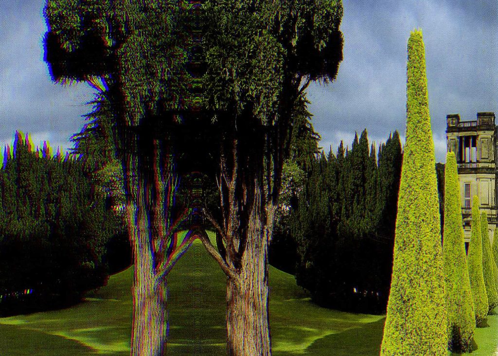 Sebastien Magne_pattern paradise 26